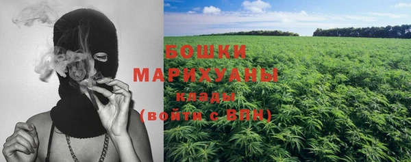 мдпв Лиски
