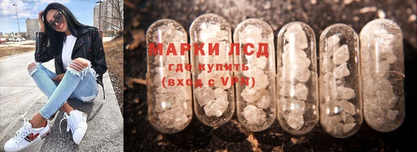 spice Ладушкин