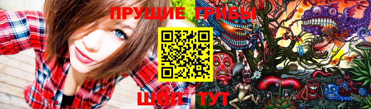 Галлюциногенные грибы GOLDEN TEACHER Златоуст